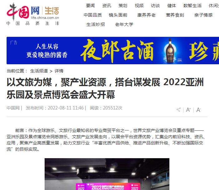 中國網(wǎng)生活.jpg