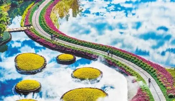 繁花怒放.jpg