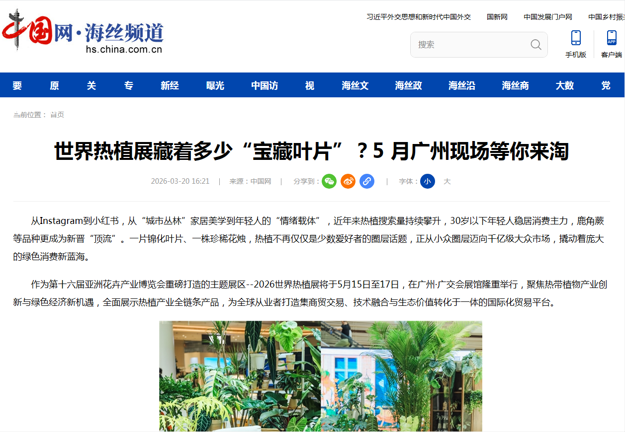 中國網(wǎng).png